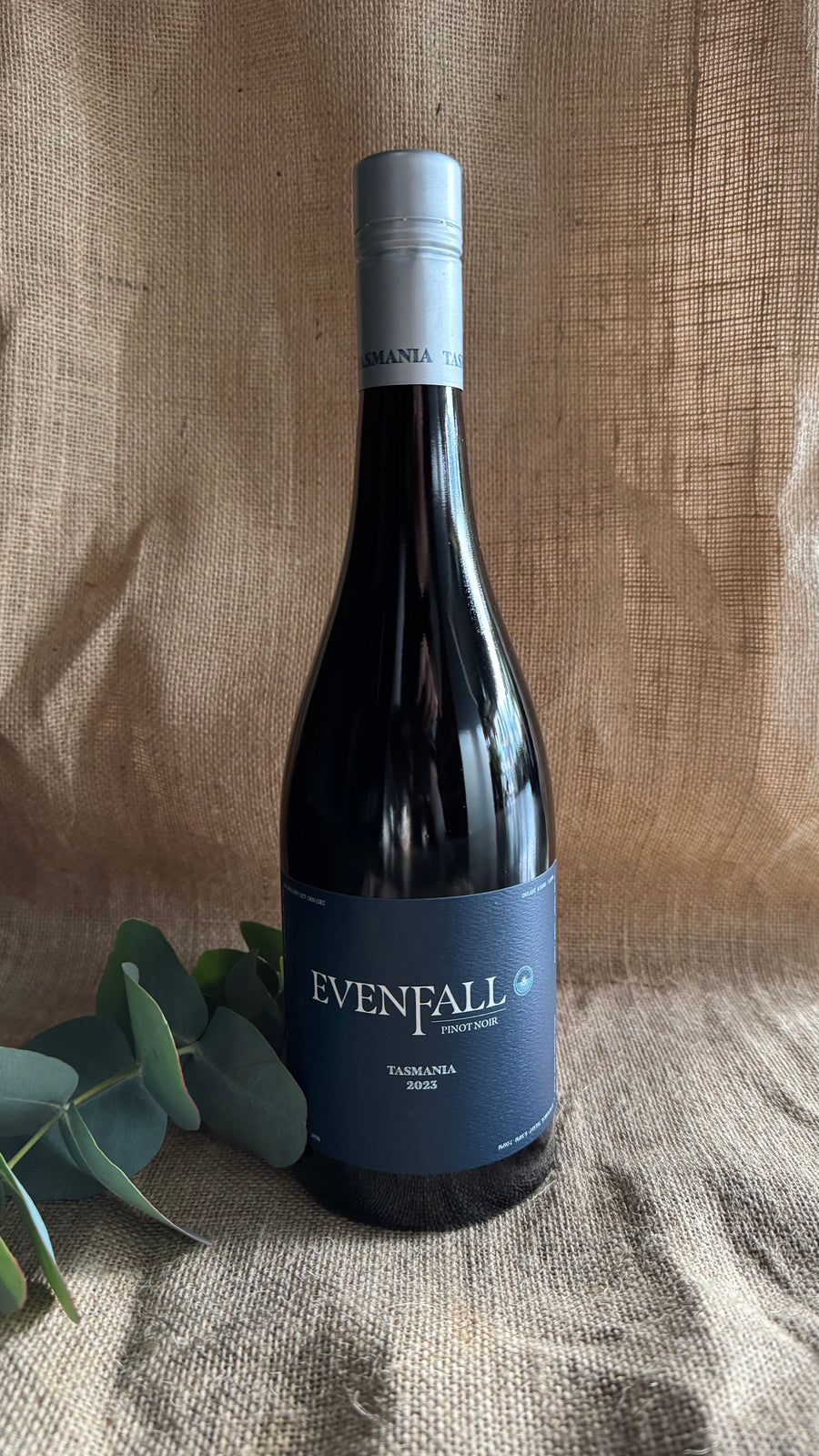 Evenfall Pinot Noir 2023